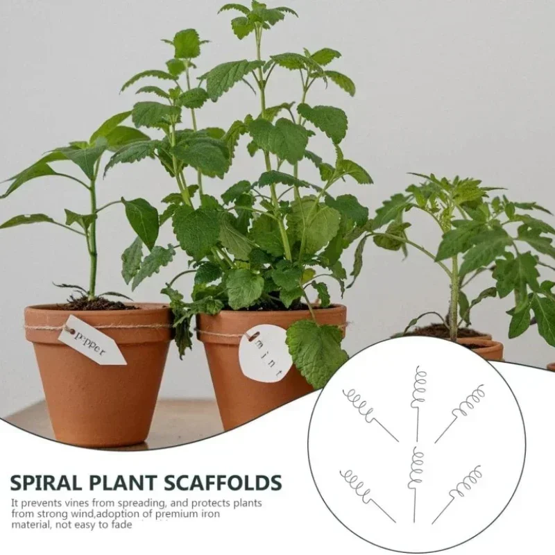 Plant Support Stake - Support de plantes grimpantes, piquets en