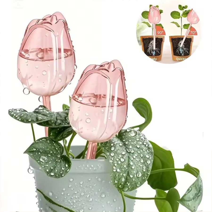 Pothos - Pique d'arrosage transparente en PET épais