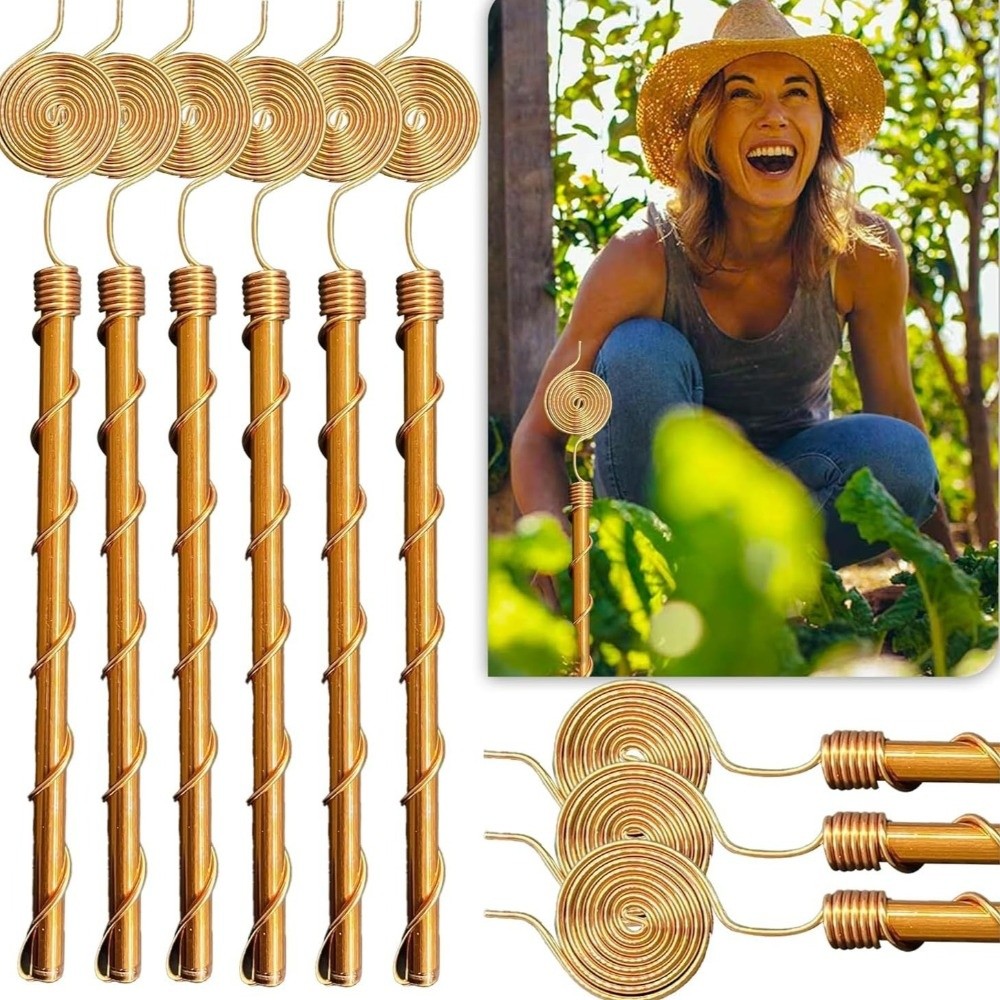 Plant Support Stake - Piquets de jardin en spirale pour