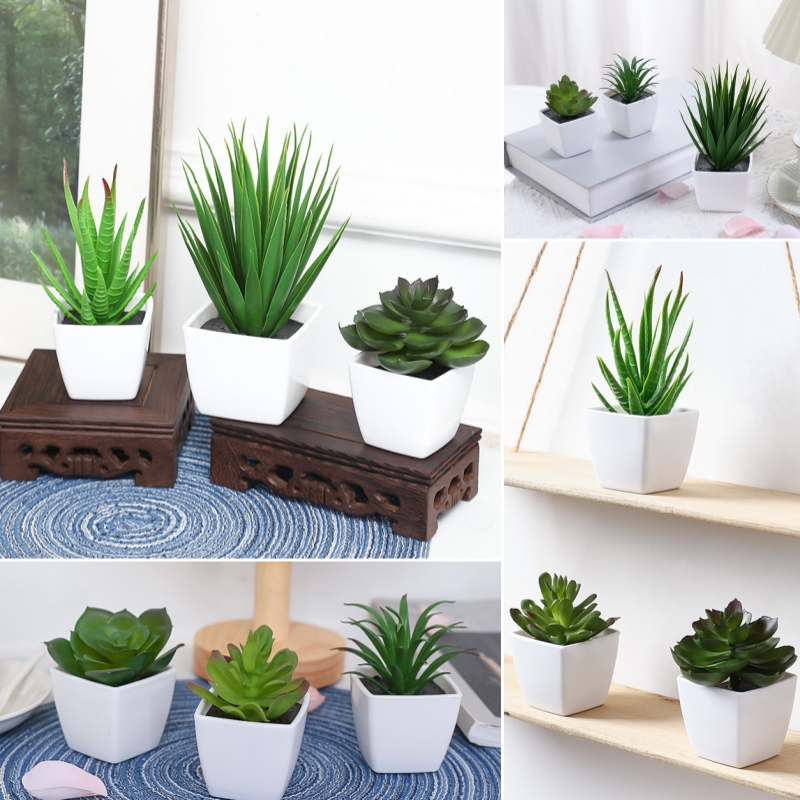 Succulent Set - (Un ensemble de 3 pièces) de