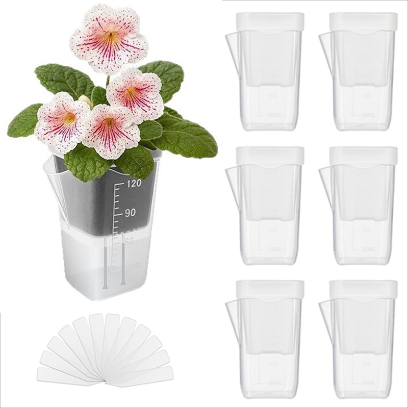 Pothos - Lot de 16/32 pots auto-arrosants –
