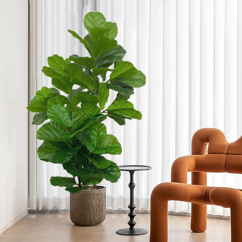 Fiddle Leaf Fig - Ficus Él23 rivières, fausses plantes, palmier