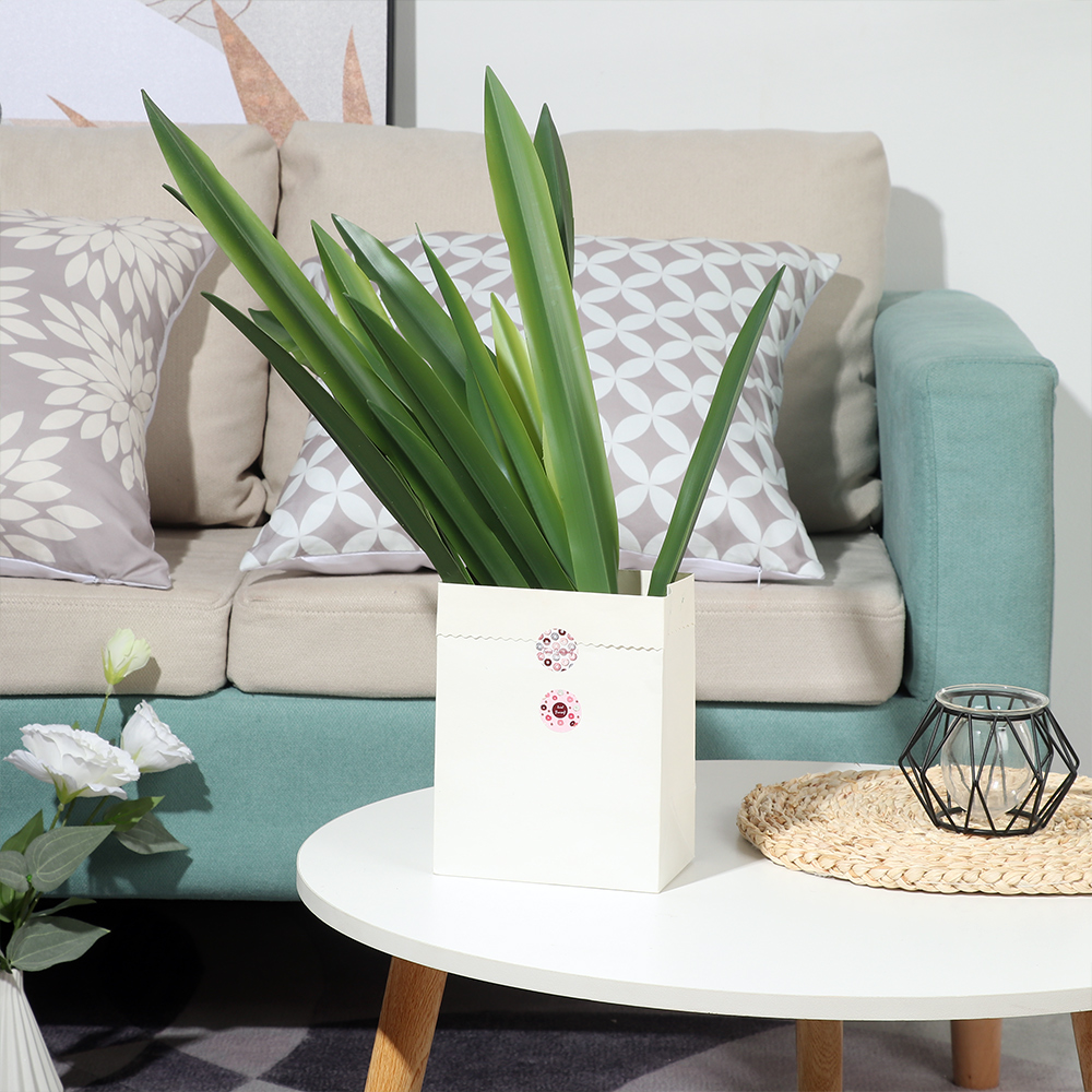 Décorations Artificielles de H - Snake Plant avis et prix