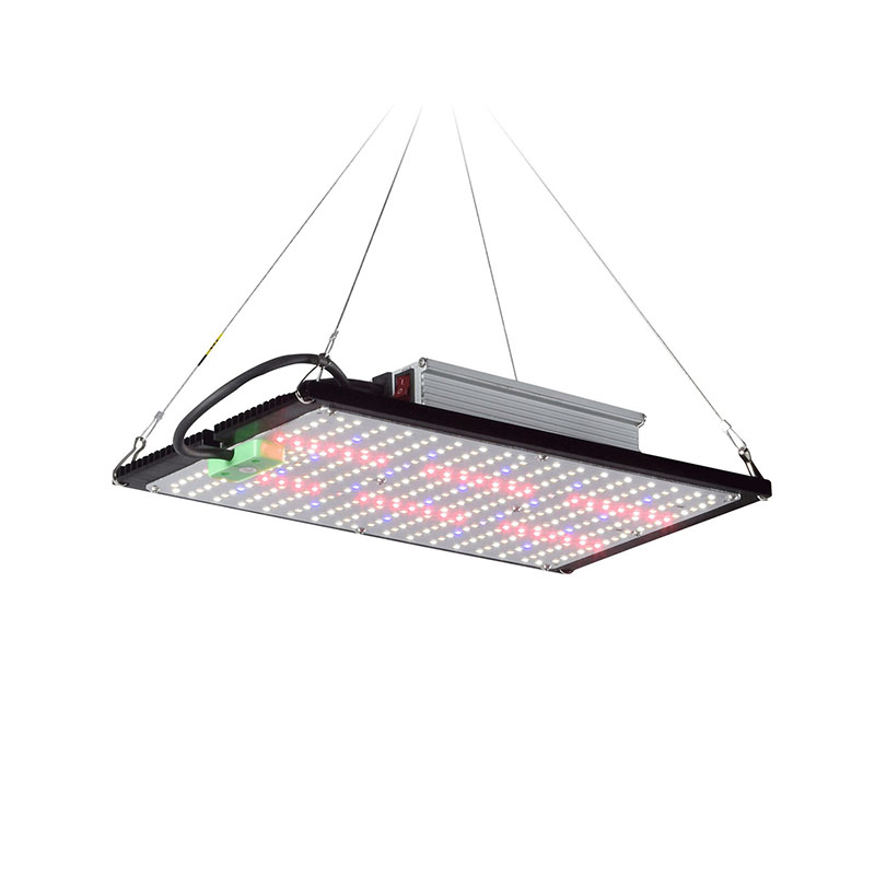 Lampe de culture LED Quantum-B - Indoor Plants avis et prix