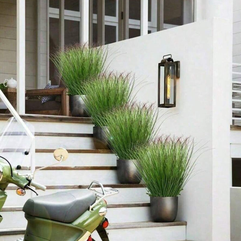 Fausse verdure d'herbe d'oigno - Snake Plant avis et prix