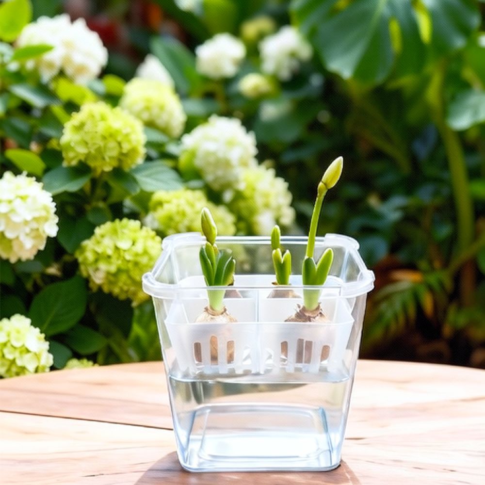 Vase hydroponique pour tulipes - Indoor Plants avis et prix