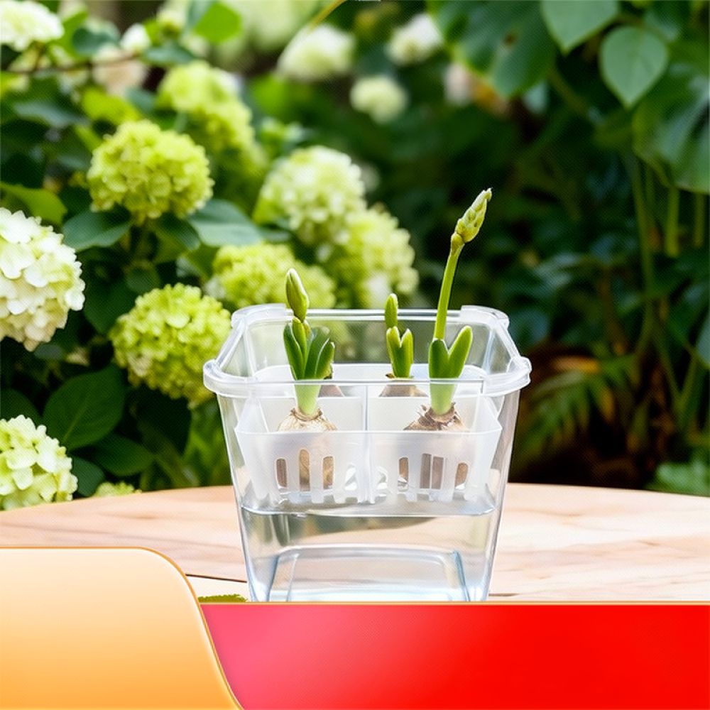 Vase hydroponique pour tulipes - Indoor Plants avis et prix