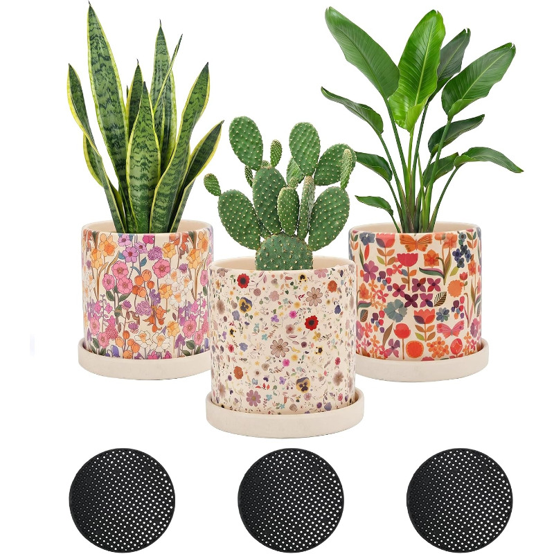 3 pots en céramique à motifs f - Snake Plant Ceramic avis et prix