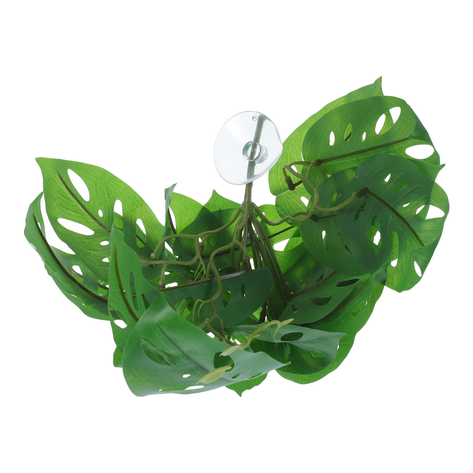 Décor d'habitat pour reptiles, - Snake Plant avis et prix