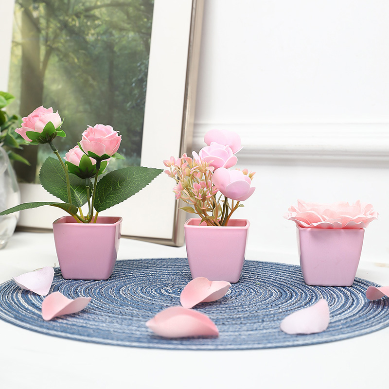 (Un ensemble de 3 pièces) de m - Succulent Set avis et prix