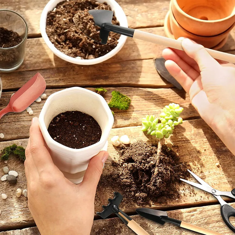 Ensemble d'outils pour plantes - Succulent Set avis et prix
