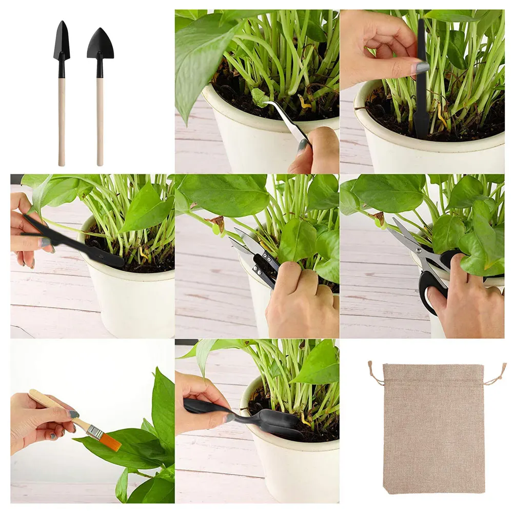 Ensemble d'outils pour plantes - Succulent Set avis et prix