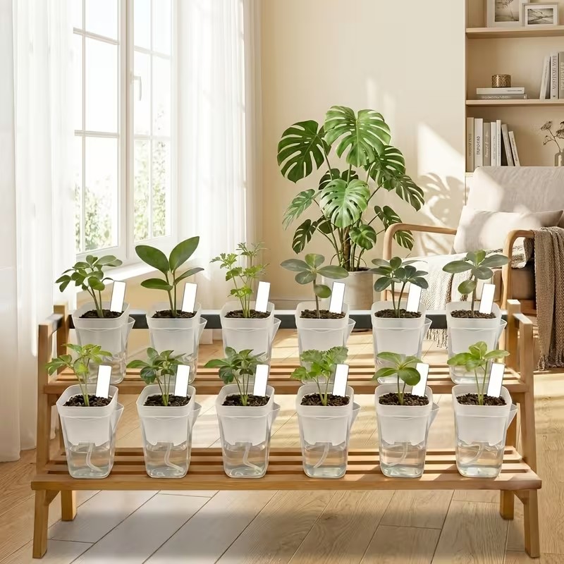 Lot de 16/32 pots auto-arrosan - Pothos avis et prix