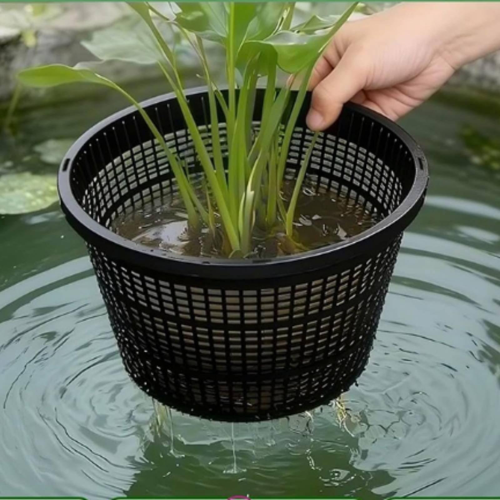 Pot de culture hydroponique à  - Plant Pot avis et prix