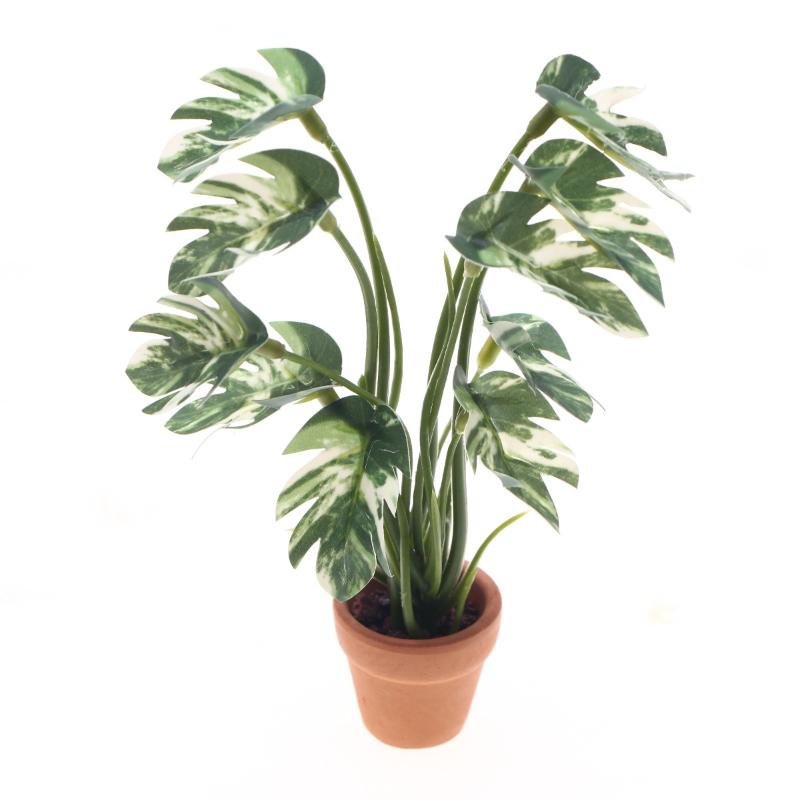 Nouveau. 1 pièce. Plante verte - Pothos avis et prix