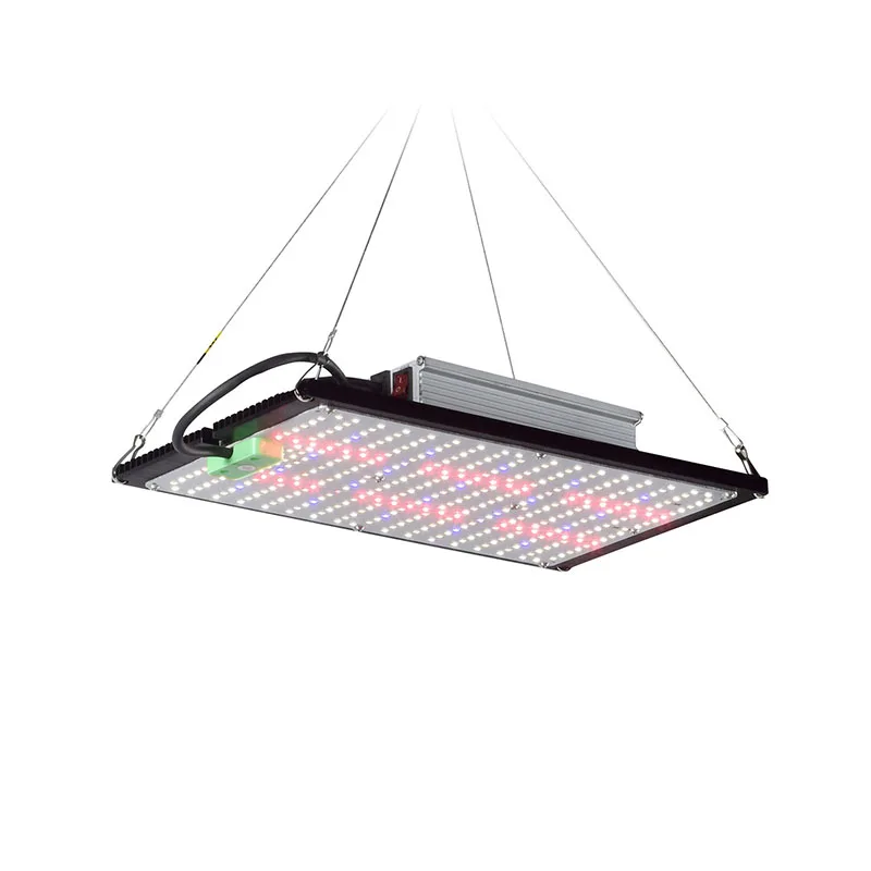 Lampe de culture LED Quantum-B - Indoor Plants avis et prix