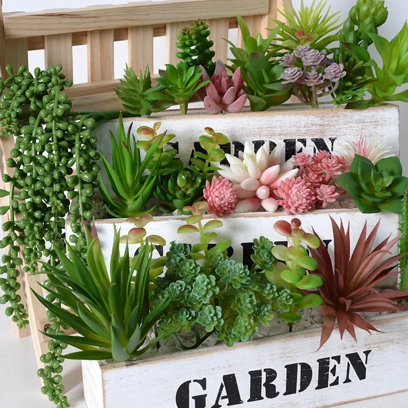 Plantes succulentes en PVC, fa - Snake Plant avis et prix